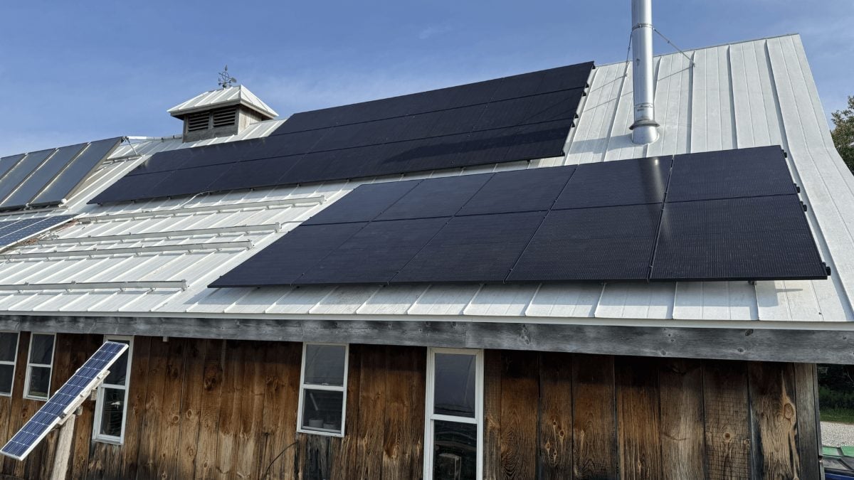 Solar panels on the metal roof of a farm building at Whitefeather Organics